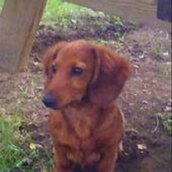 Meet your Posher, Cathy - Picture 1 of 1